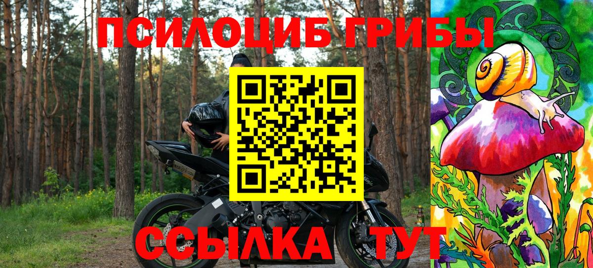 Галлюциногенные грибы MAGIC MUSHROOMS  Вход с VPN  Щёкино 